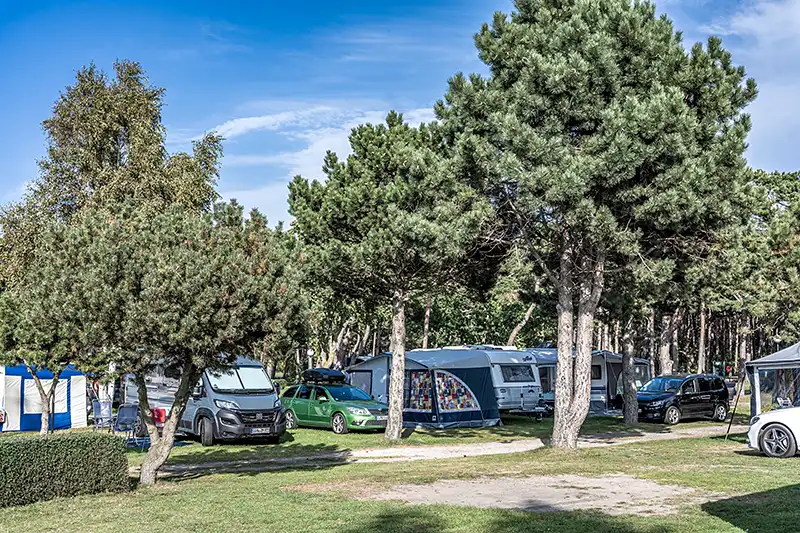 Wohnmobile und Zelt auf dem Campingplatz Thiessow